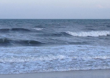 chincoteague_6