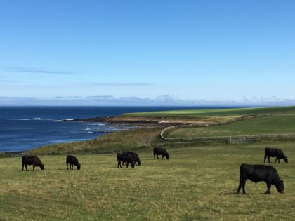 Castle of Mey