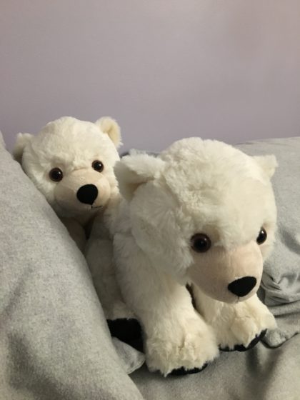My twin immortal polar bears
